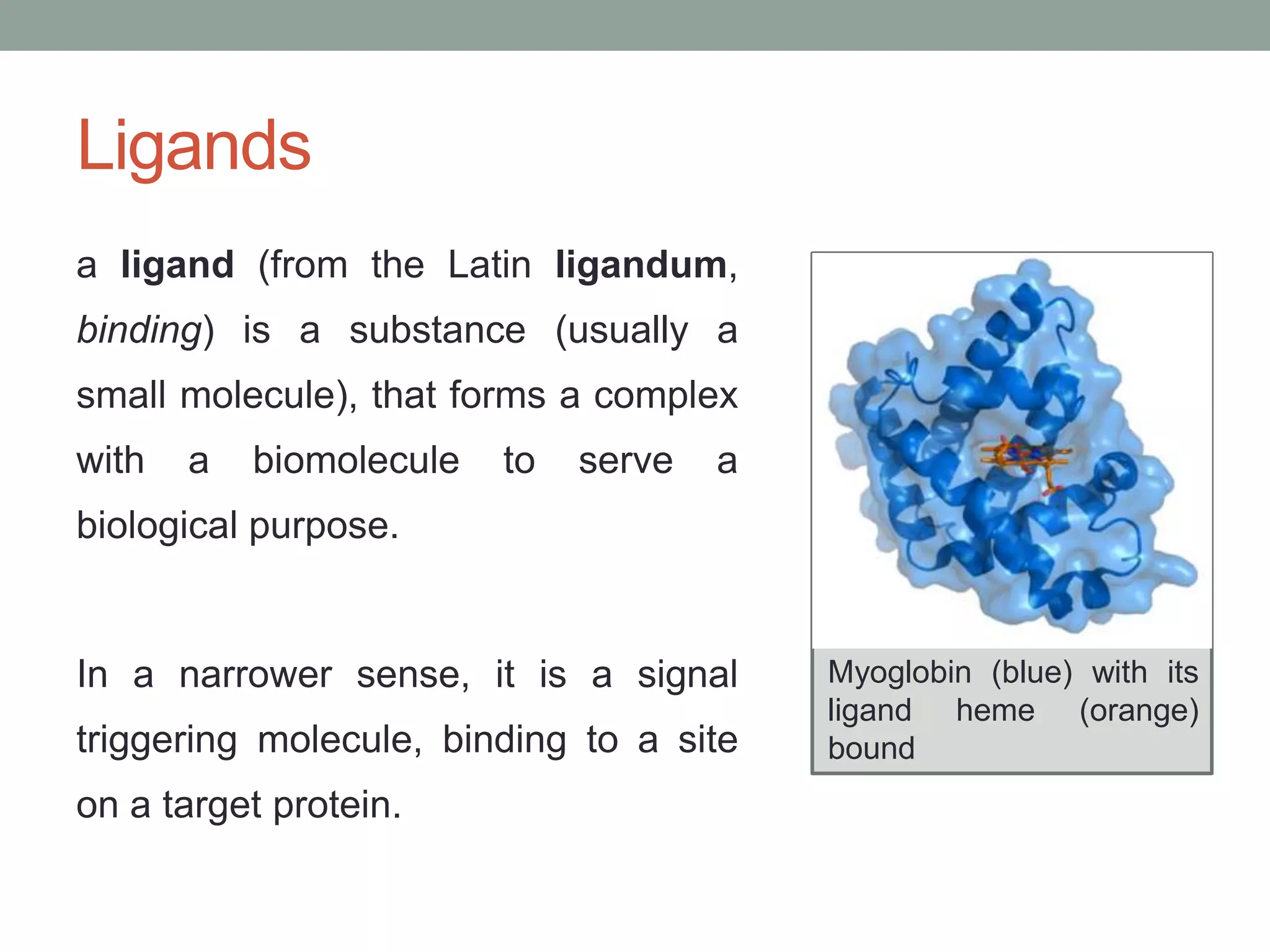 Ligands
a ligand (from the Latin ligandum,
binding) is a substance (usually a
small molecule), that forms a complex
with a biomolecule to serve a
biological purpose.
In a narrower sense, it is a signal
triggering molecule, binding to a site
on a target protein.
Myoglobin (blue) with its
ligand heme (orange)
bound
 