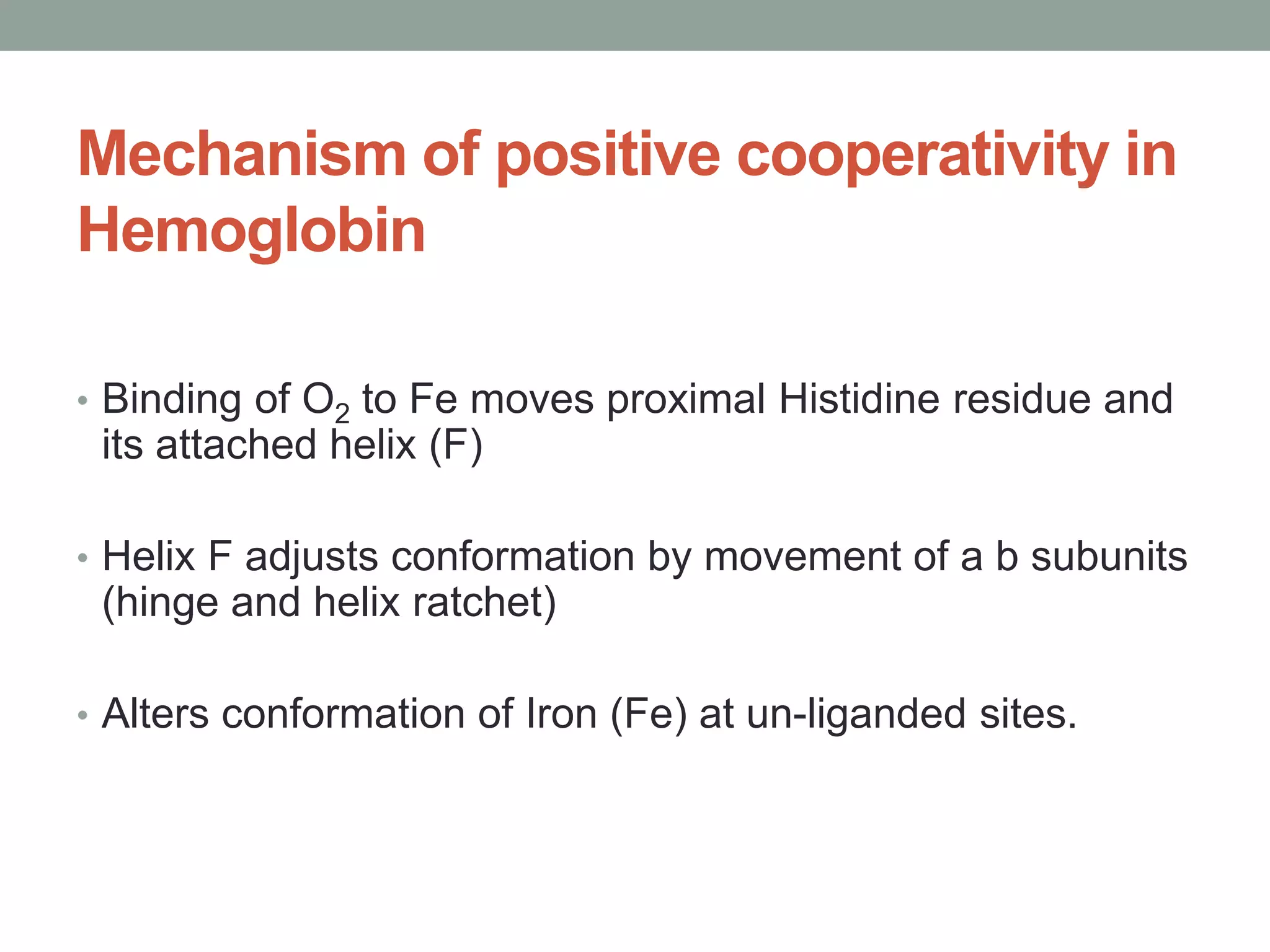 Mechanism of positive cooperativity in
Hemoglobin
• Binding of O2 to Fe moves proximal Histidine residue and
its attached helix (F)
• Helix F adjusts conformation by movement of a b subunits
(hinge and helix ratchet)
• Alters conformation of Iron (Fe) at un-liganded sites.
 