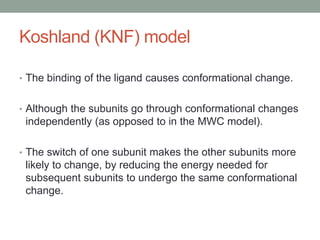 Koshland (KNF) model
• The binding of the ligand causes conformational change.
• Although the subunits go through conformational changes
independently (as opposed to in the MWC model).
• The switch of one subunit makes the other subunits more
likely to change, by reducing the energy needed for
subsequent subunits to undergo the same conformational
change.
 