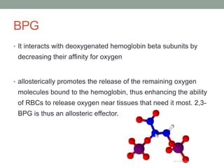 BPG
• It interacts with deoxygenated hemoglobin beta subunits by
decreasing their affinity for oxygen
• allosterically promotes the release of the remaining oxygen
molecules bound to the hemoglobin, thus enhancing the ability
of RBCs to release oxygen near tissues that need it most. 2,3-
BPG is thus an allosteric effector.
 