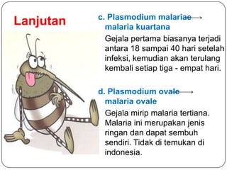Lanjutan c. Plasmodium malariae
malaria kuartana
Gejala pertama biasanya terjadi
antara 18 sampai 40 hari setelah
infeksi, kemudian akan terulang
kembali setiap tiga - empat hari.
d. Plasmodium ovale
malaria ovale
Gejala mirip malaria tertiana.
Malaria ini merupakan jenis
ringan dan dapat sembuh
sendiri. Tidak di temukan di
indonesia.
 