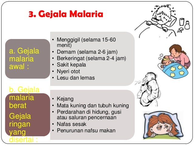 Malaria Malaria