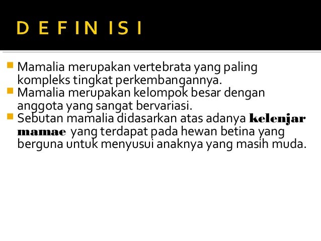 Ppt mamalia welly fitri Ppt mamalia welly fitri