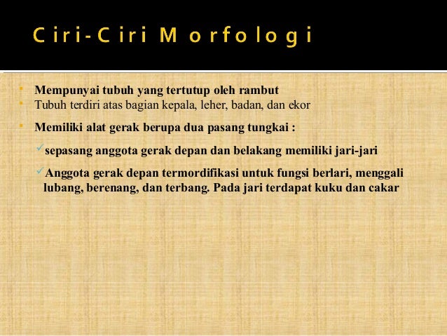 Ppt mamalia welly fitri Ppt mamalia welly fitri