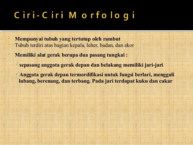 Ppt mamalia welly fitri 