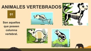 PPT Mamíferos Semana 22 al 26 mayo.pptx