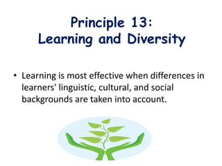 Principle 13:
Learning and Diversity
• Learning is most effective when differences in
learners' linguistic, cultural, and social
backgrounds are taken into account.
 
