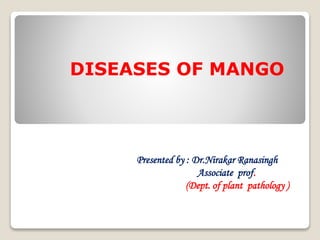 Presented by : Dr.Nirakar Ranasingh
Associate prof.
(Dept. of plant pathology )
DISEASES OF MANGO
 