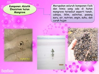 Komponen Abiotik
Ekosistem hutan
Mangrove
Merupakan seluruh komponen fisik
dan kimia yang ada di hutan
mangrove tersebut seperti tanah,
cahaya, iklim, salinitas, pasang
suru, air, nutrien, angin, suhu, dan
curah hujan
 