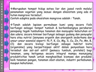E
D
A
P
H
I
S
E
K
O
S
I
S
T
E
M
M
A
N
G
R
O
V
E
Merupakan tempat hidup satwa liar dan jasad renik melalui
penanaman vegetasi yang sesuai dengan ekosistem yang ada di
hutan mangrove tersebut.
Contoh edaphis pada ekosistem mangrove adalah : Tanah.
Tanah adalah lapisan permukaan bumi yang secara fisik
berfungsi sebagai tempat tumbuh & berkembangnya perakaran
penopang tegak tumbuhnya tanaman dan menyuplai kebutuhan air
dan udara; secara kimiawi berfungsi sebagai gudang dan penyuplai
hara atau nutrisi (senyawa organik dan anorganik sederhana dan
unsur-unsur esensial seperti: N, P, K, Ca, Mg, S, Cu, Zn, Fe, Mn, B,
Cl); dan secara biologi berfungsi sebagai habitat biota
(organisme) yang berpartisipasi aktif dalam penyediaan hara
tersebut dan zat-zat aditif (pemacu tumbuh, proteksi) bagi
tanaman, yang ketiganya secara integral mampu menunjang
produktivitas tanah untuk menghasilkan biomass dan produksi
baik tanaman pangan, tanaman obat-obatan, industri perkebunan,
maupun kehutanan.
 