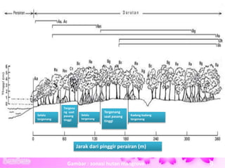 Gambar : zonasi hutan mangrove
Selalu
tergenang
Selalu
tergenang
Tergena
ng saat
pasang
tinggi
Kadang kadang
tergenang
Jarak dari pinggir perairan (m)
Tergenang
saat pasang
tinggi
9
 