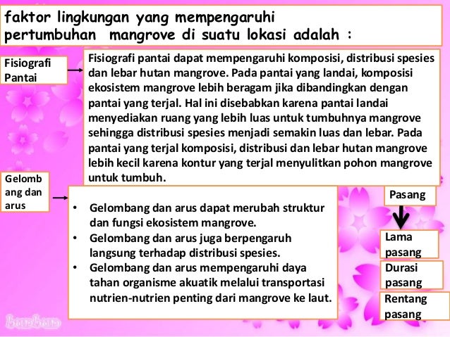PPT MANGROVE