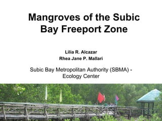 Mangroves of the Subic Bay Freeport Zone 
Lilia R. Alcazar 
Rhea Jane P. Mallari 
Subic Bay Metropolitan Authority (SBMA) - Ecology Center  