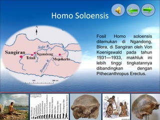 Ppt ( Jenis Manusia Purba Di Indonesia ) | PPT