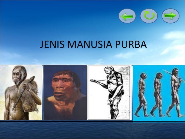 Ppt Jenis Manusia Purba Di Indonesia 