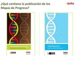 ¿Qué contiene la publicación de los
Mapas de Progreso?

 