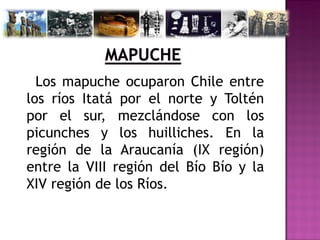 Los mapuche ocuparon Chile entre
los ríos Itatá por el norte y Toltén
por el sur, mezclándose con los
picunches y los huilliches. En la
región de la Araucanía (IX región)
entre la VIII región del Bío Bío y la
XIV región de los Ríos.
 