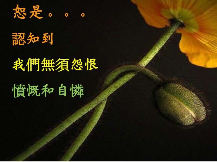 Centrality and commonality an essay on confucius religiousness
