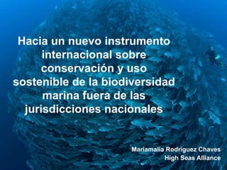 S
Hacia un nuevo instrumento
internacional sobre
conservación y uso
sostenible de la biodiversidad
marina fuera de las
jurisdicciones nacionales
Mariamalia Rodríguez Chaves
High Seas Alliance
 