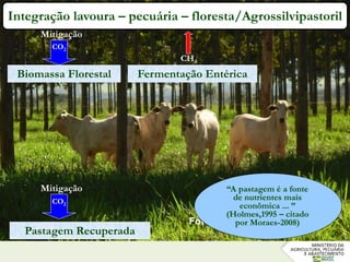 Pastagem Recuperada
Fermentação EntéricaBiomassa Florestal
CH4
Integração lavoura – pecuária – floresta/Agrossilvipastoril
CO2
CO2
Mitigação
Mitigação
Foto: 27/02/2015
“A pastagem é a fonte
de nutrientes mais
econômica ... ”
(Holmes,1995 – citado
por Moraes-2008)
 