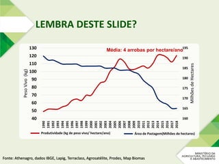 Fonte: Athenagro, dados IBGE, Lapig, Terraclass, Agrosatélite, Prodes, Map Biomas
LEMBRA DESTE SLIDE?
160
165
170
175
180
185
190
195
40
50
60
70
80
90
100
110
120
130
1990
1991
1992
1993
1994
1995
1996
1997
1998
1999
2000
2001
2002
2003
2004
2005
2006
2007
2008
2009
2010
2011
2012
2013
2014
2015
2016
2017
2018
MilhõesdeHectares
PesoVivo(kg)
Produtividade (kg de peso vivo/ hectare/ano) Área de Pastagem(Milhões de hectares)
Média: 4 arrobas por hectare/ano
 
