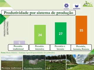 iLP iLPF
5
24 27
35
AVERAGE LIVESTOCK INTENSIVE LIVESTOCK CROP-LIVESTOCK CROP-LIVESTOCK-
FORESTRY
PRODUTIVIDADE
(@/HECTARE)
Produtividade por sistema de produção
Pecuária intensivaPecuária tradicional
Fonte: Bruno Pedreira – Embrapa Agrossilvipastoril(dados não publicados)
Pecuária
tradicional
Pecuária
intensiva
Pecuária e
lavoura
Pecuária,
lavoura, floresta
 