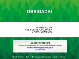 OBRIGADA!
Mariane Crespolini
Diretora do Departamento de Produção Sustentável e Irrigação
mariane.crespolini@agricultura.gov.br
61 - 99338938
Agradecimentos a Elvison Ramos que colaborou com esta apresentação
 