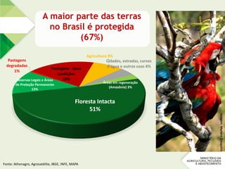 A maior parte das terras
no Brasil é protegida
(67%)
Imagem:MarianeCrespolini
Floresta Intacta
51%
Reservas Legais e Áreas
de Proteção Permanente
13%
Pastagens
degradadas
1%
Pastagens - boas
condições
19%
Agricultura 9%
Cidades, estradas, cursos
d'água e outros usos 4%
Áreas em regeneração
(Amazônia) 3%
Fonte: Athenagro, Agrosatélite, IBGE, INFE, MAPA
 