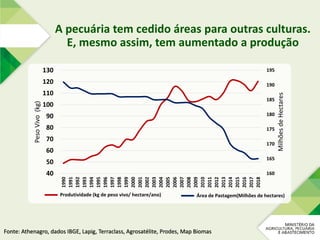 Fonte: Athenagro, dados IBGE, Lapig, Terraclass, Agrosatélite, Prodes, Map Biomas
A pecuária tem cedido áreas para outras culturas.
E, mesmo assim, tem aumentado a produção
160
165
170
175
180
185
190
195
40
50
60
70
80
90
100
110
120
130
1990
1991
1992
1993
1994
1995
1996
1997
1998
1999
2000
2001
2002
2003
2004
2005
2006
2007
2008
2009
2010
2011
2012
2013
2014
2015
2016
2017
2018
MilhõesdeHectares
PesoVivo(kg)
Produtividade (kg de peso vivo/ hectare/ano) Área de Pastagem(Milhões de hectares)
 