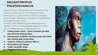 MEGANTHROPUS
PALEOJAVANICUS
Meganthropus Paleojavanicus merupakan fosil
manusia purba tertua. Fosil Meganthropus
Paleojavanicus ditemukan di daerah Sangiran,
jawa Tengah. Sekarang ini Sangiran menjadi situs
arkeologi di pulau Jawa.
Penemu fosil Meganthropus Paleojavanicus
adalah G.H.R Von Koenigswald pada 1941 silam.
Ciri-ciri Meganthropus Paleojavanicus:
1. Tulang pada ubun – ubun tampak pendek
dan bentuk hidung lebar
2. Mempunyai tonjolan kening yang mencolok
dan tulang pipi yang tebal.
3. Volume otaknya sebesar 900 cc
4. Perawakannya tegap
5. Tidak memiliki dagu
6. Tingginya 2,5 meter
 