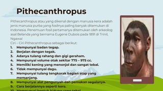 Pithecanthropus
Pithecanthropus atau yang dikenal dengan manusia kera adalah
jenis manusia purba yang fosilnya paling banyak ditemukan di
Indonesia. Penemuan fosil pertamanya ditemukan oleh arkeolog
asal Belanda yang bernama Eugene Dubois pada 1891 di Trinil,
Ngawai
Ciri – Ciri Pithecanthropus sebagai berikut:
1. Mempunyai badan tegap.
2. Berjalan dengan tegak.
3. Adanya tulang rahang dan gigi geraham.
4. Mempunyai volume otak sekitar 775 – 975 cc.
5. Memiliki kening yang menonjol dan sangat tebal.
6. Tidak mempunyai dagu.
7. Mempunyai tulang tengkorak bagian atap yang
memanjang.
8. Mempunyai alat pengunyah dan pemakan segalanya.
9. Cara berjalannya seperti kera.
 