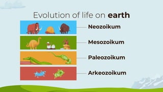 Mesozoikum
Paleozoikum
Neozoikum
Arkeozoikum
Evolution of life on earth
 