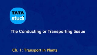 The Conducting or Transporting tissue
Ch. 1: Transport in Plants
 