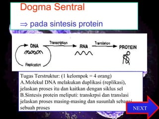 22
Dogma Sentral
⇒ pada sintesis protein
Tugas Terstruktur: (1 kelompok = 4 orang)
A.Molekul DNA melakukan duplikasi (replikasi),
jelaskan proses itu dan kaitkan dengan siklus sel
B.Sintesis protein meliputi: transkrpsi dan translasi
jelaskan proses masing-masing dan susunlah sebagai
sebuah proses NEXT
 