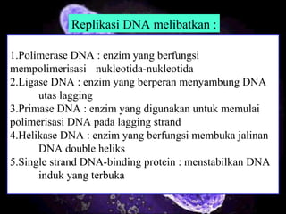 1.Polimerase DNA : enzim yang berfungsi
mempolimerisasi nukleotida-nukleotida
2.Ligase DNA : enzim yang berperan menyambung DNA
utas lagging
3.Primase DNA : enzim yang digunakan untuk memulai
polimerisasi DNA pada lagging strand
4.Helikase DNA : enzim yang berfungsi membuka jalinan
DNA double heliks
5.Single strand DNA-binding protein : menstabilkan DNA
induk yang terbuka
Replikasi DNA melibatkan :
 