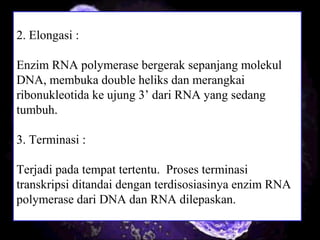 2. Elongasi :
Enzim RNA polymerase bergerak sepanjang molekul
DNA, membuka double heliks dan merangkai
ribonukleotida ke ujung 3’ dari RNA yang sedang
tumbuh.
3. Terminasi :
Terjadi pada tempat tertentu. Proses terminasi
transkripsi ditandai dengan terdisosiasinya enzim RNA
polymerase dari DNA dan RNA dilepaskan.
 