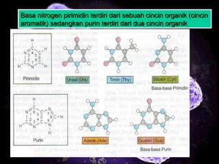 4
Basa nitrogen pirimidin terdiri dari sebuah cincin organik (cincinBasa nitrogen pirimidin terdiri dari sebuah cincin organik (cincin
aromatik) sedangkan purin terdiri dari dua cincin organikaromatik) sedangkan purin terdiri dari dua cincin organik
Basa nitrogen pirimidin terdiri dari sebuah cincin organik (cincinBasa nitrogen pirimidin terdiri dari sebuah cincin organik (cincin
aromatik) sedangkan purin terdiri dari dua cincin organikaromatik) sedangkan purin terdiri dari dua cincin organik
 
