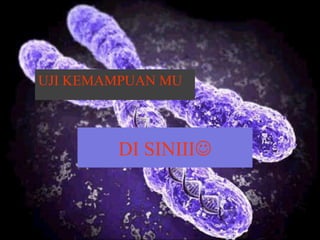 DI SINIII
UJI KEMAMPUAN MU
48
 
