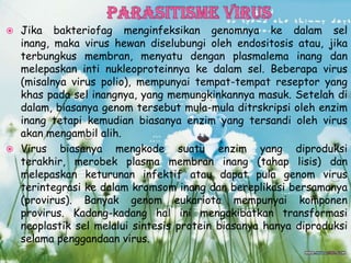  Jika bakteriofag menginfeksikan genomnya ke dalam sel
inang, maka virus hewan diselubungi oleh endositosis atau, jika
terbungkus membran, menyatu dengan plasmalema inang dan
melepaskan inti nukleoproteinnya ke dalam sel. Beberapa virus
(misalnya virus polio), mempunyai tempat-tempat reseptor yang
khas pada sel inangnya, yang memungkinkannya masuk. Setelah di
dalam, biasanya genom tersebut mula-mula ditrskripsi oleh enzim
inang tetapi kemudian biasanya enzim yang tersandi oleh virus
akan mengambil alih.
 Virus biasanya mengkode suatu enzim yang diproduksi
terakhir, merobek plasma membran inang (tahap lisis) dan
melepaskan keturunan infektif atau dapat pula genom virus
terintegrasi ke dalam kromsom inang dan bereplikasi bersamanya
(provirus). Banyak genom eukariota mempunyai komponen
provirus. Kadang-kadang hal ini mengakibatkan transformasi
neoplastik sel melalui sintesis protein biasanya hanya diproduksi
selama penggandaan virus.
 