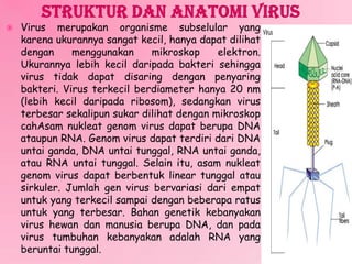  Virus merupakan organisme subselular yang
karena ukurannya sangat kecil, hanya dapat dilihat
dengan menggunakan mikroskop elektron.
Ukurannya lebih kecil daripada bakteri sehingga
virus tidak dapat disaring dengan penyaring
bakteri. Virus terkecil berdiameter hanya 20 nm
(lebih kecil daripada ribosom), sedangkan virus
terbesar sekalipun sukar dilihat dengan mikroskop
cahAsam nukleat genom virus dapat berupa DNA
ataupun RNA. Genom virus dapat terdiri dari DNA
untai ganda, DNA untai tunggal, RNA untai ganda,
atau RNA untai tunggal. Selain itu, asam nukleat
genom virus dapat berbentuk linear tunggal atau
sirkuler. Jumlah gen virus bervariasi dari empat
untuk yang terkecil sampai dengan beberapa ratus
untuk yang terbesar. Bahan genetik kebanyakan
virus hewan dan manusia berupa DNA, dan pada
virus tumbuhan kebanyakan adalah RNA yang
beruntai tunggal.
 