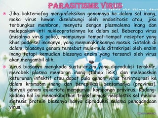  Jika bakteriofag menginfeksikan genomnya ke dalam sel inang,
maka virus hewan diselubungi oleh endositosis atau, jika
terbungkus membran, menyatu dengan plasmalema inang dan
melepaskan inti nukleoproteinnya ke dalam sel. Beberapa virus
(misalnya virus polio), mempunyai tempat-tempat reseptor yang
khas pada sel inangnya, yang memungkinkannya masuk. Setelah di
dalam, biasanya genom tersebut mula-mula ditrskripsi oleh enzim
inang tetapi kemudian biasanya enzim yang tersandi oleh virus
akan mengambil alih.
 Virus biasanya mengkode suatu enzim yang diproduksi terakhir,
merobek plasma membran inang (tahap lisis) dan melepaskan
keturunan infektif atau dapat pula genom virus terintegrasi ke
dalam kromsom inang dan bereplikasi bersamanya (provirus).
Banyak genom eukariota mempunyai komponen provirus. Kadang-
kadang hal ini mengakibatkan transformasi neoplastik sel melalui
sintesis protein biasanya hanya diproduksi selama penggandaan
virus.
 