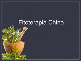 Fitoterapia China
 