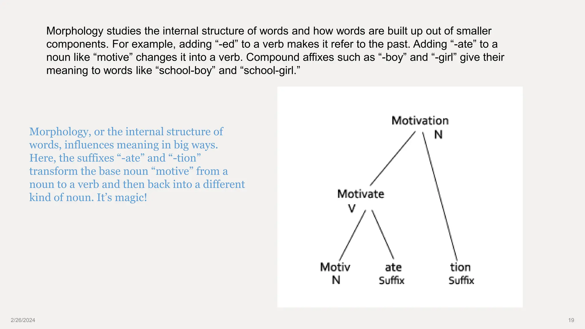 2/26/2024 19
Morphology, or the internal structure of
words, influences meaning in big ways.
Here, the suffixes “-ate” and “-tion”
transform the base noun “motive” from a
noun to a verb and then back into a different
kind of noun. It’s magic!
Morphology studies the internal structure of words and how words are built up out of smaller
components. For example, adding “-ed” to a verb makes it refer to the past. Adding “-ate” to a
noun like “motive” changes it into a verb. Compound affixes such as “-boy” and “-girl” give their
meaning to words like “school-boy” and “school-girl.”
 