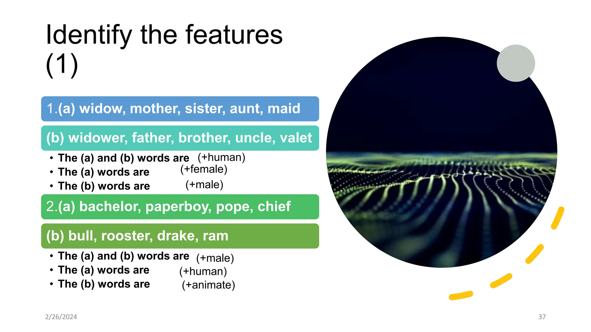 Identify the features
(1)
2/26/2024 37
1.(a) widow, mother, sister, aunt, maid
(b) widower, father, brother, uncle, valet
• The (a) and (b) words are
• The (a) words are
• The (b) words are
2.(a) bachelor, paperboy, pope, chief
(b) bull, rooster, drake, ram
• The (a) and (b) words are
• The (a) words are
• The (b) words are (+animate)
(+human)
(+male)
(+male)
(+female)
(+human)
 