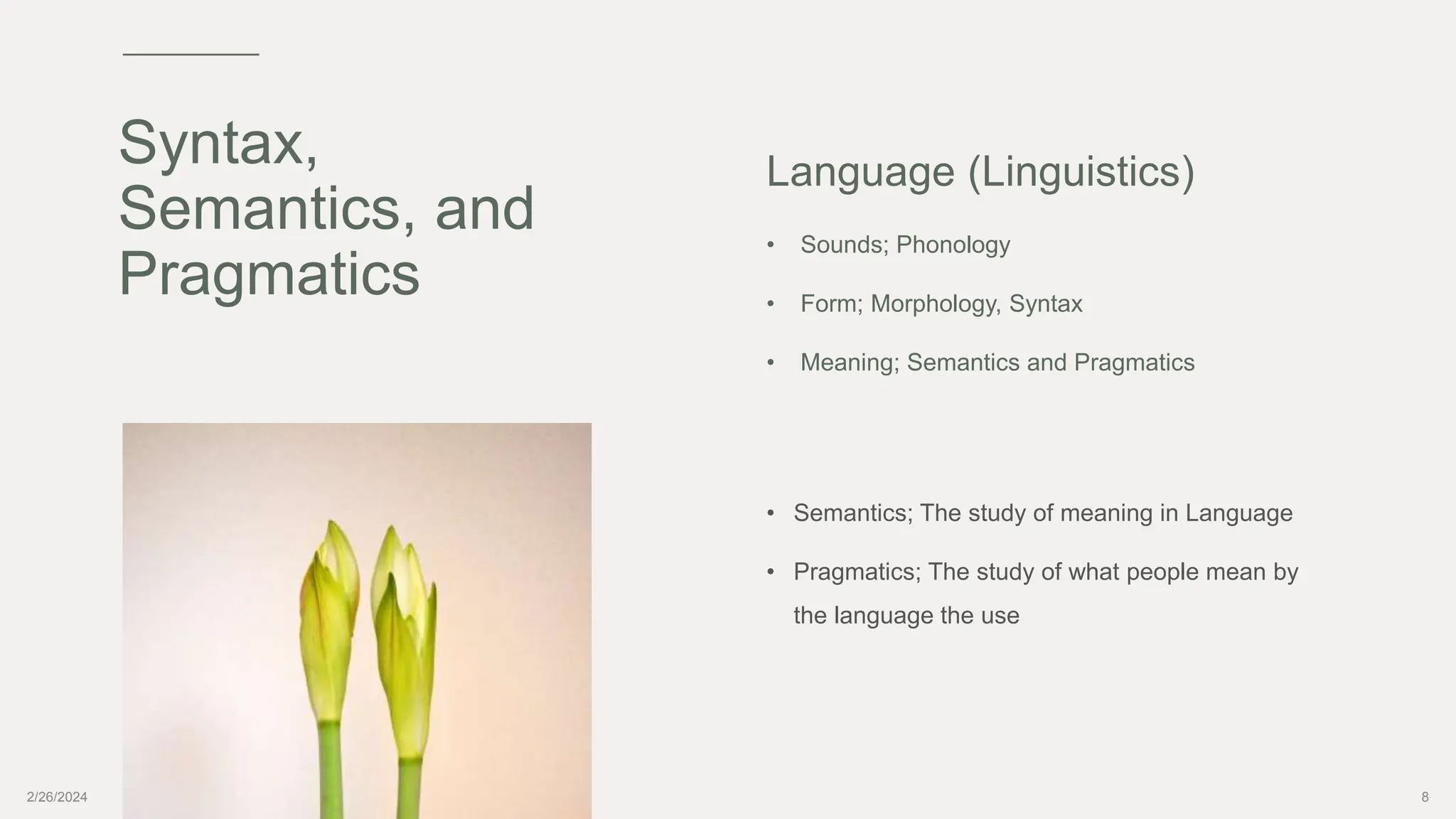 Syntax,
Semantics, and
Pragmatics
Language (Linguistics)
• Sounds; Phonology
• Form; Morphology, Syntax
• Meaning; Semantics and Pragmatics
• Semantics; The study of meaning in Language
• Pragmatics; The study of what people mean by
the language the use
2/26/2024 8
 