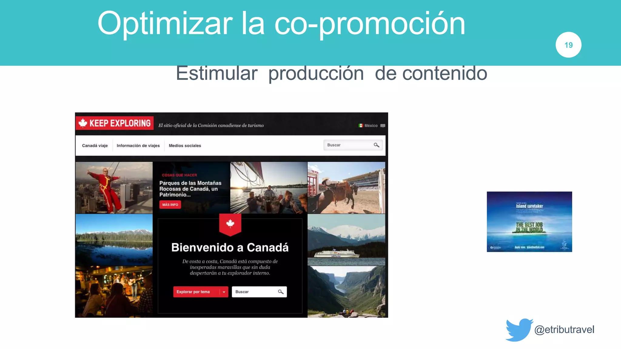 Slide 19