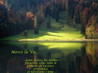 Merci La Vie