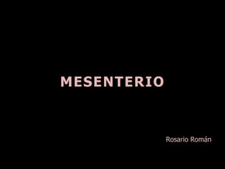 MESENTERIO
Rosario Román
 
