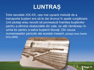 Page 11
LUNTRAȘ
Între secolele XIX-XX, cea mai ușoară metodă de a
transporta bușteni era să le dai drumul în apele curgătoare.
Unii plutași erau nevoiti să pornească înaintea buștenilor
pentru a elimina obstacolele din cale, iar alții rămâneau în
urma lor pentru a salva buștenii blocați. Din cauza
numeroaselor pericole ale acestei meserii, plutașii erau foarte
bine plătiți.
 