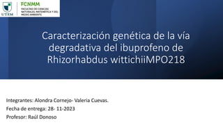 Caracterización genética de la vía
degradativa del ibuprofeno de
Rhizorhabdus wittichiiMPO218
Integrantes: Alondra Cornejo- Valeria Cuevas.
Fecha de entrega: 28- 11-2023
Profesor: Raúl Donoso
 